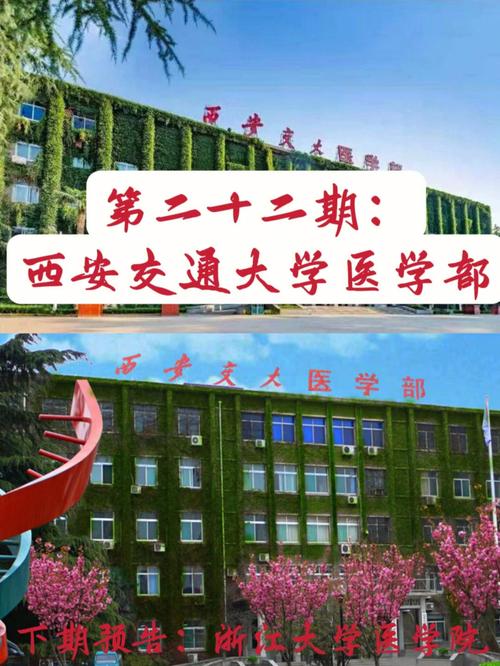 西交医学院怎么样