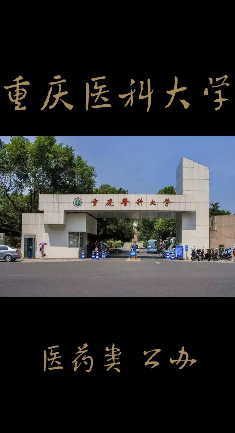 重庆较好的医学大学有哪些