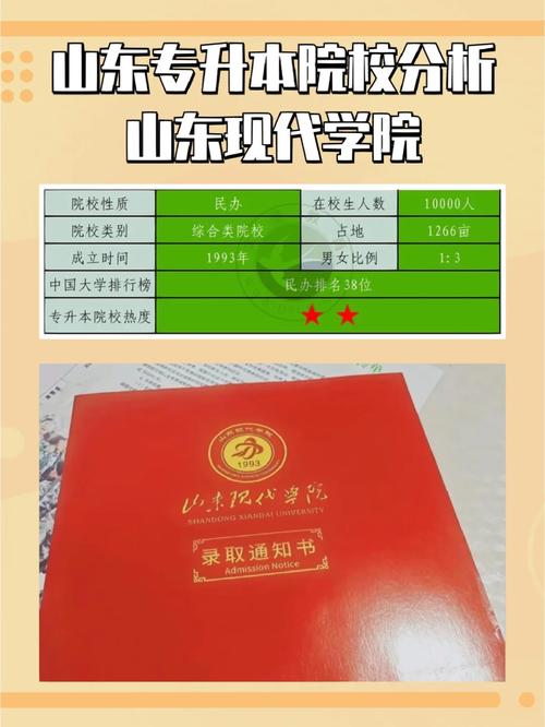 山东现代学院代码多少