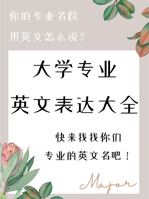 大学学院英文怎么说