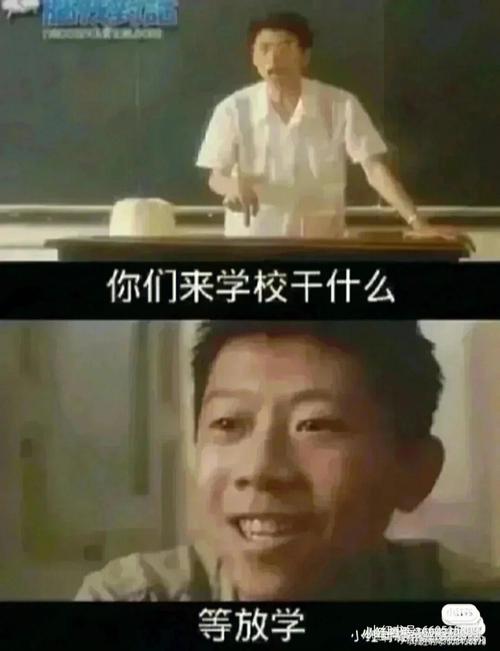 去哪个学校等我