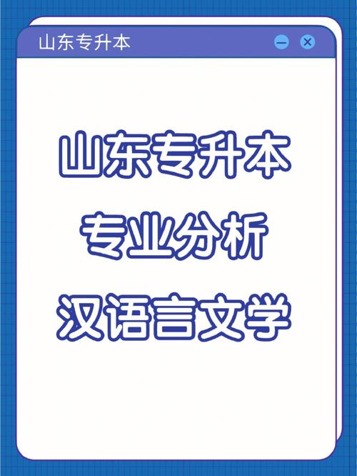 山东哪个学校可以学汉语