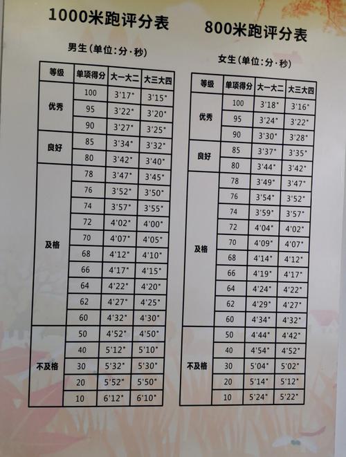 大学体测身高体重怎么加分