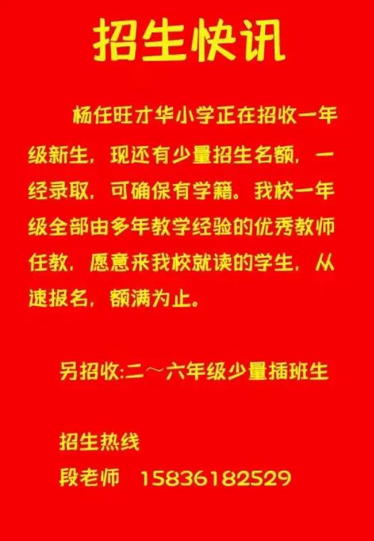 杨任旺才华小学怎么样