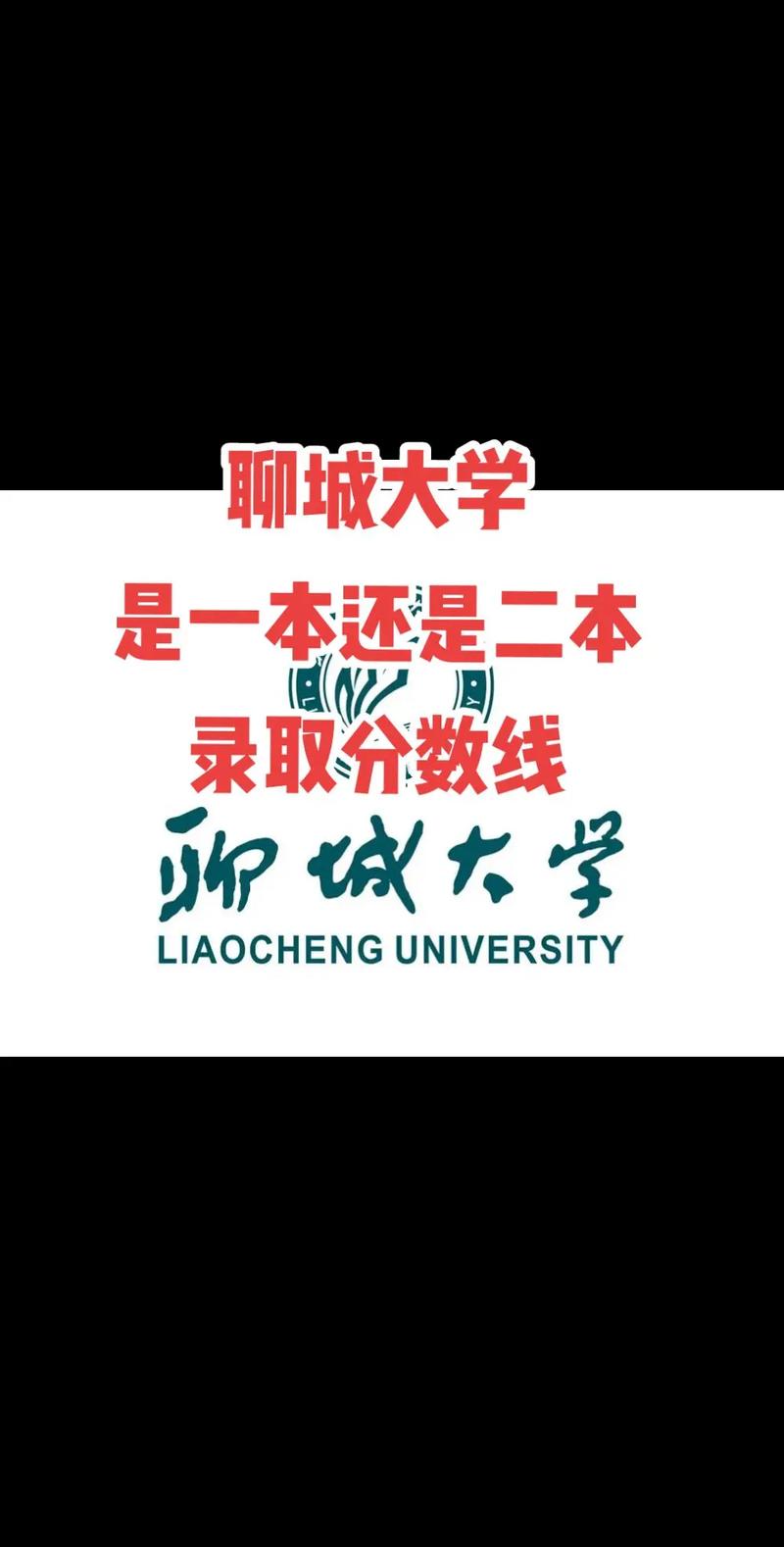 聊城大学哪些学科是一本