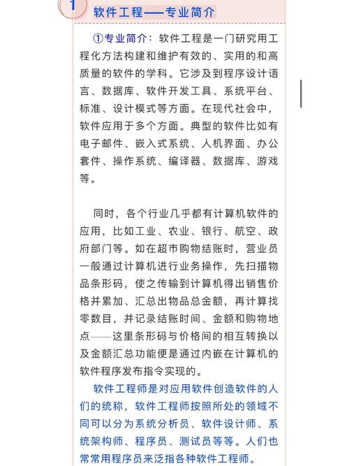 软件工程DNIIT专业怎么样