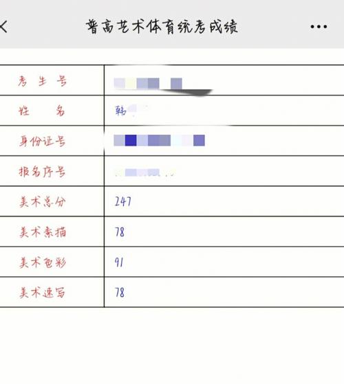 美术类考试成绩怎么查