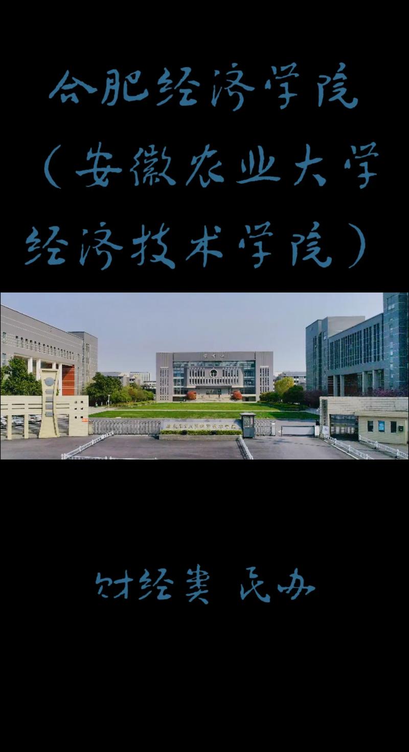 合肥经济大学在哪个区