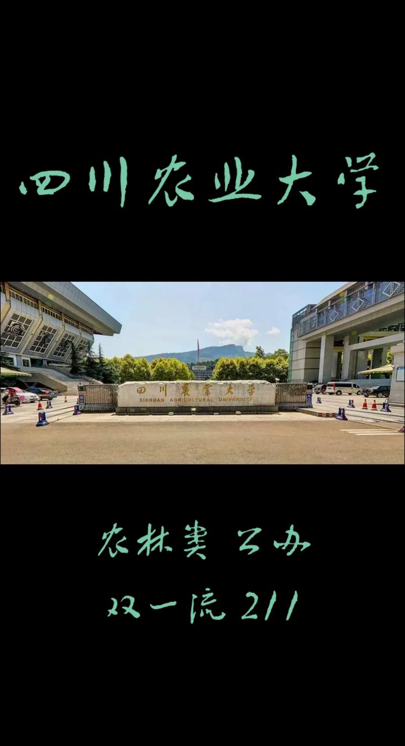 四川农业大学大学在哪里