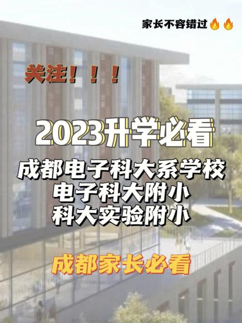 电子科大小学怎么样