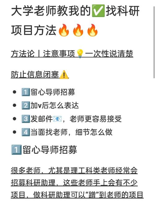 大学生怎么帮老师做科研