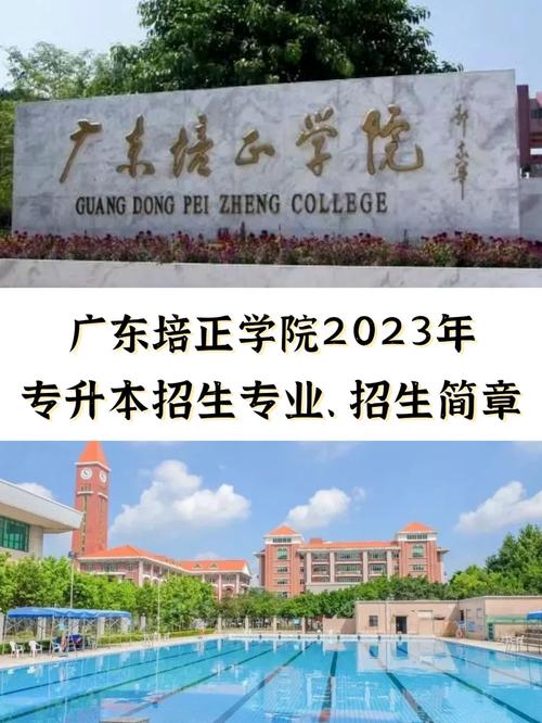 哪些学校招财税法专业博士