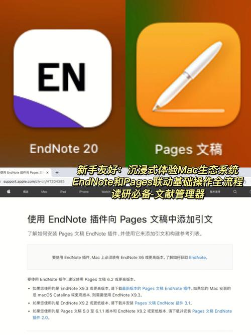 endnote学校图书馆怎么下载