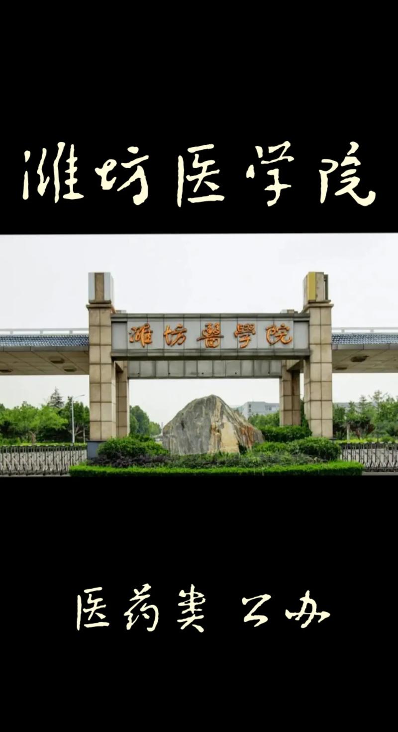 潍坊医学院实力怎么样