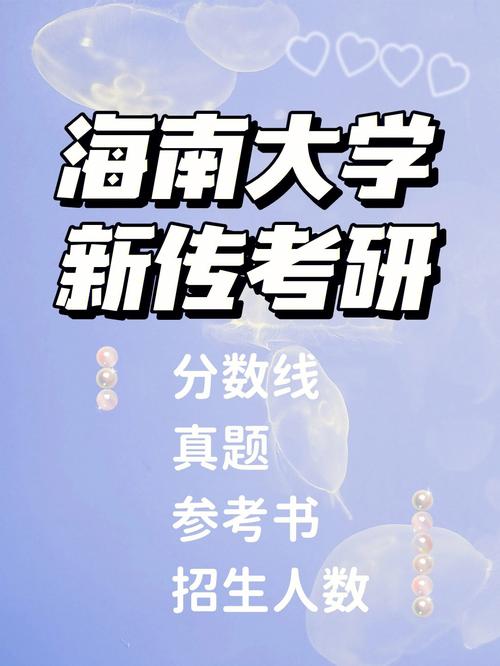 海南481能报哪个大学