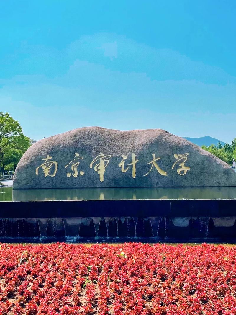 审计哪个大学好