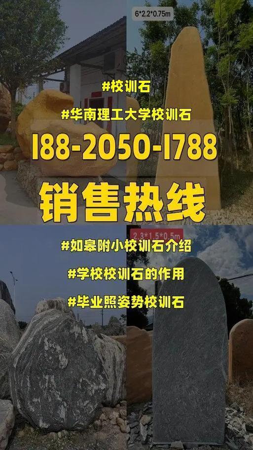 石闪毕业哪个学校