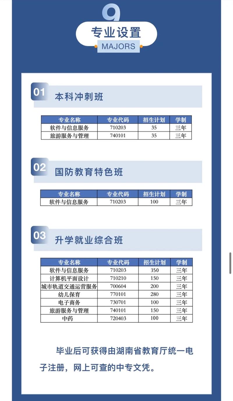 把湖南办理哪个专业机制