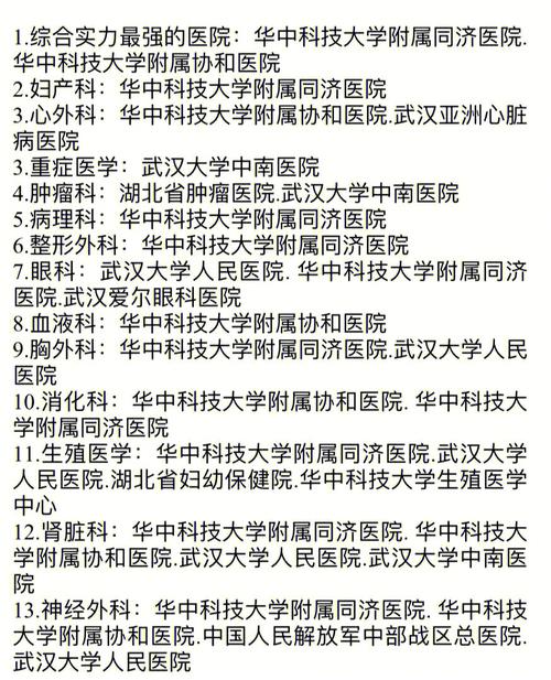 武汉大学司文超怎么样