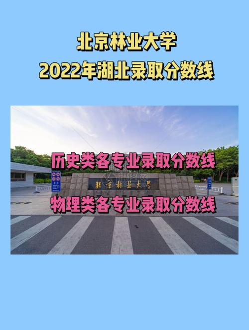 湖北关于林业的大学有哪些