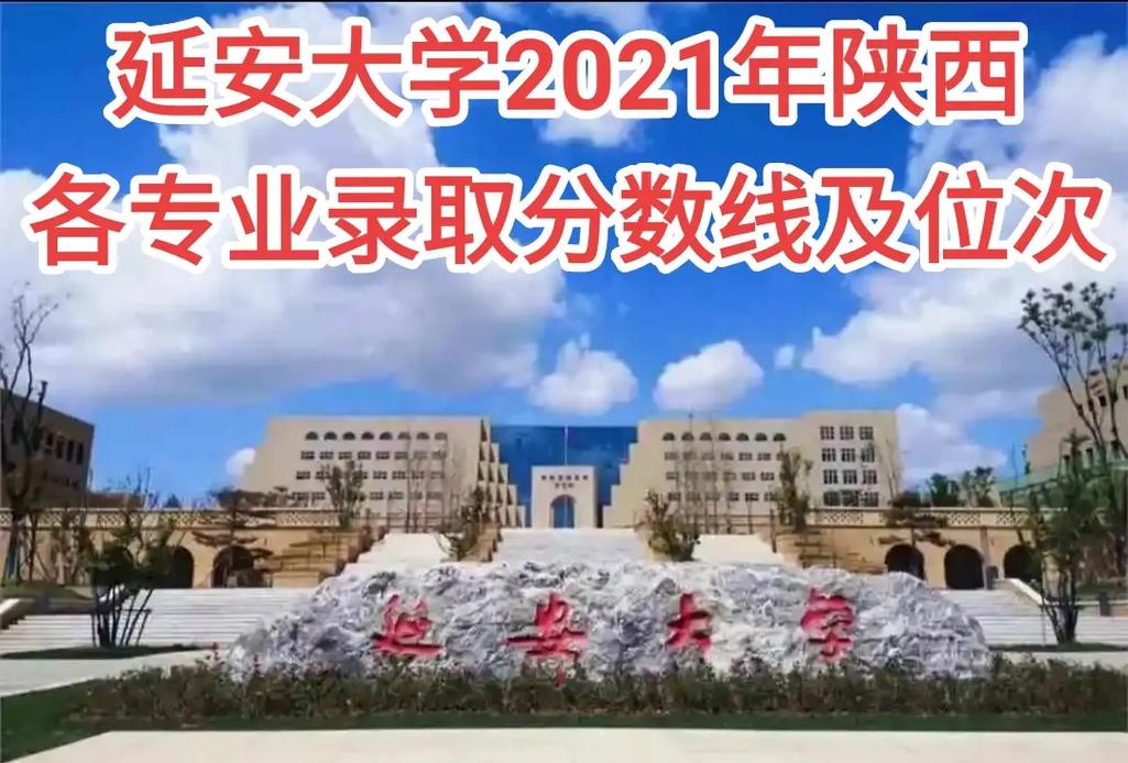 延安大学哪个网好