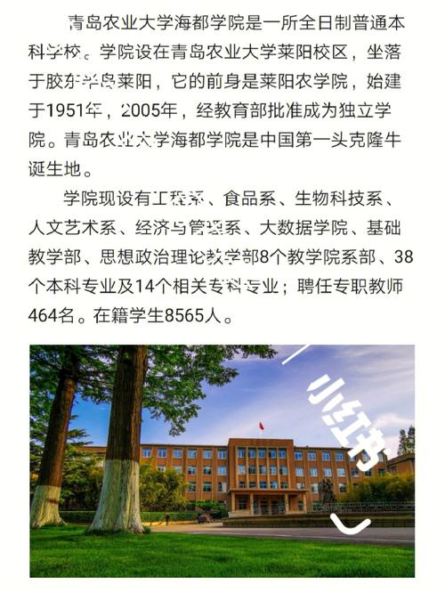 海都学院哪个系好