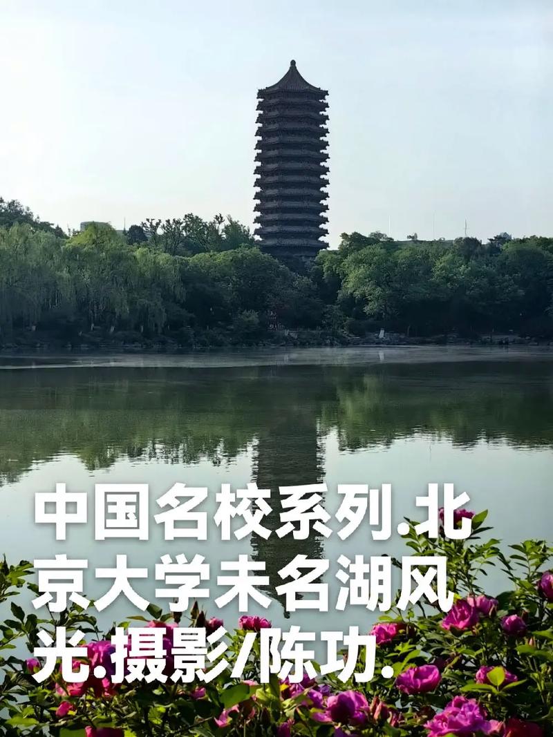 北京大学陈英语怎么说