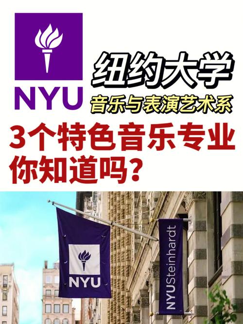 纽约大学哪个系