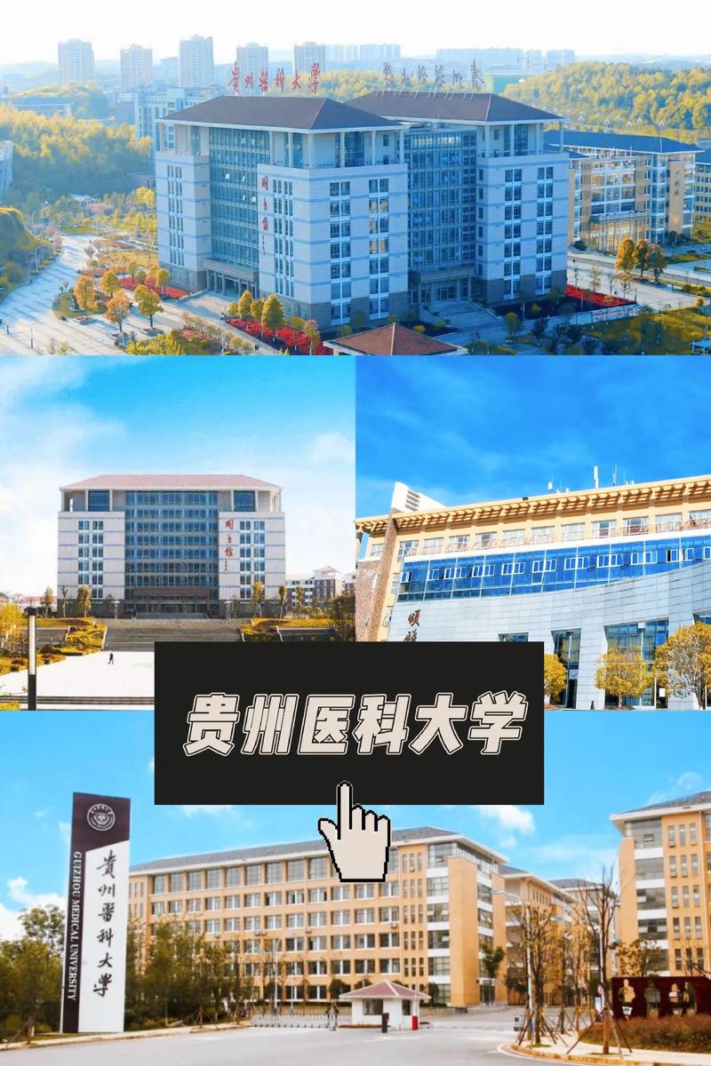 贵州医学院大学有哪些