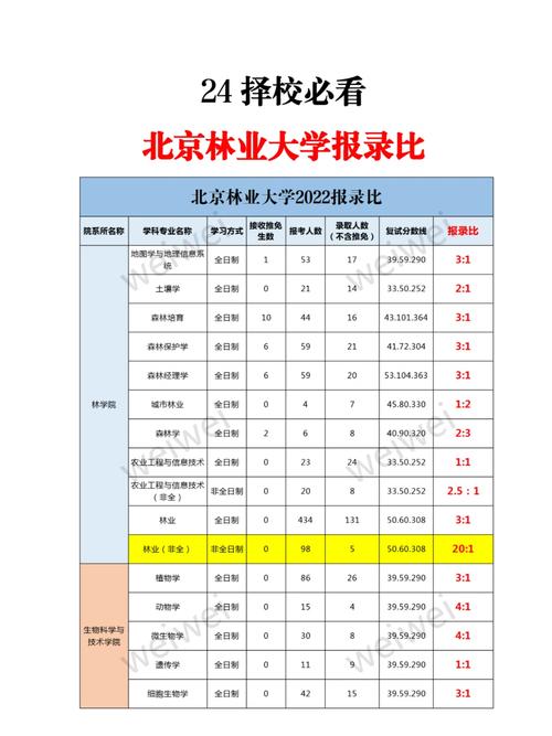 北京林业大学哪个专业好