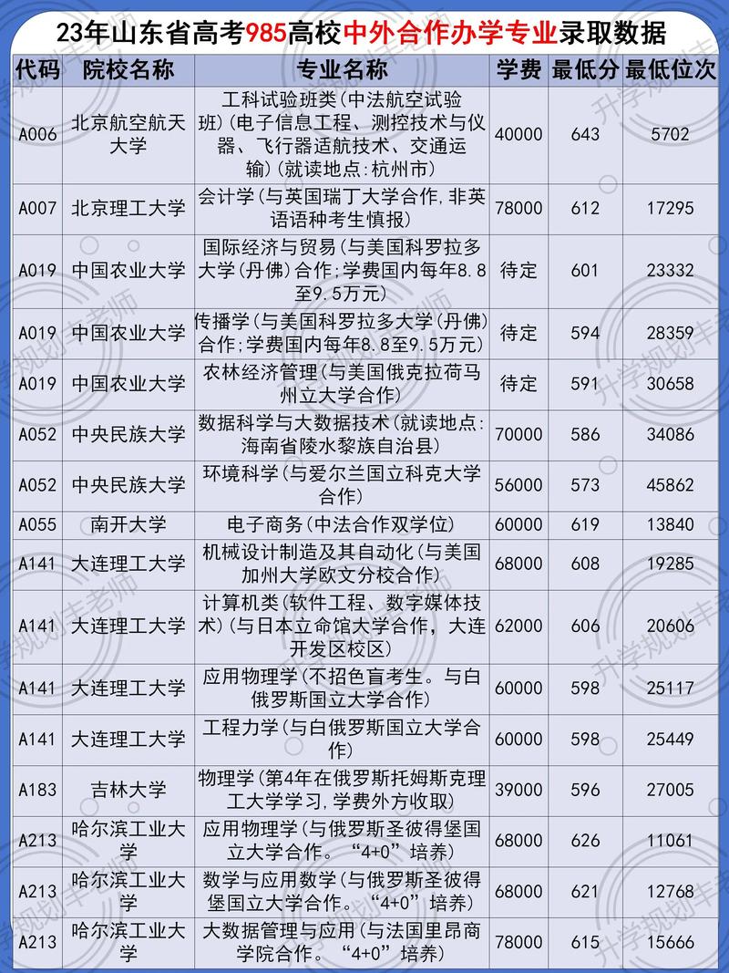 中外合作大学985有哪些