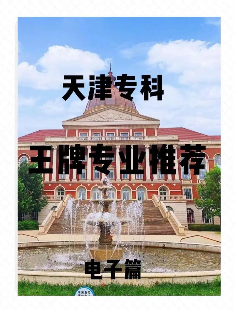 天津信息职业学院哪个