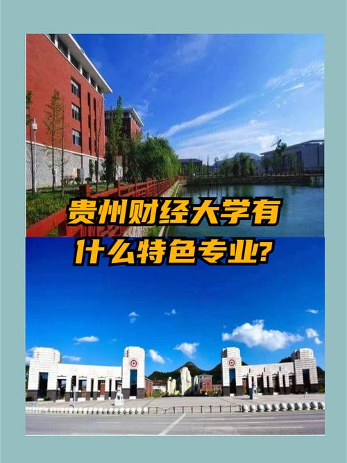 贵州财经大学哪个专业好