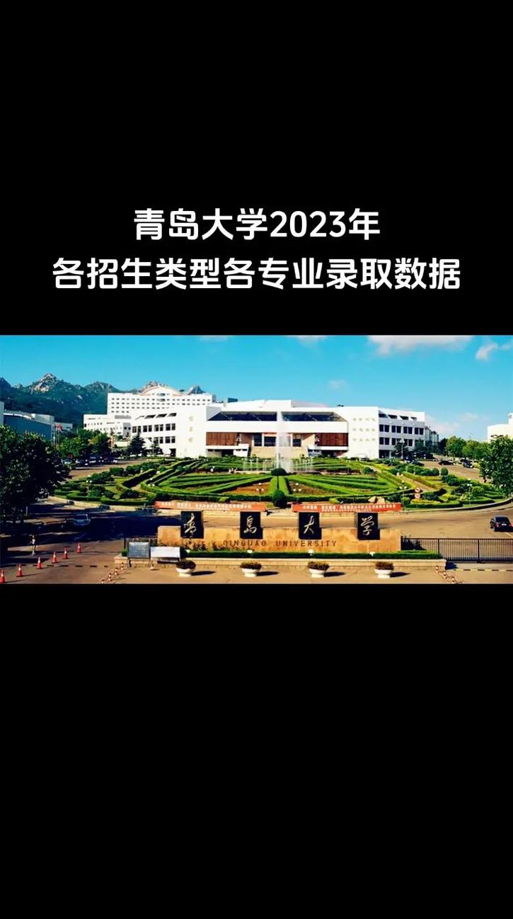 山东青岛市大学有哪些