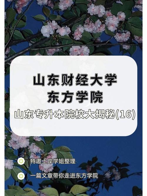 山东东方学院哪些系