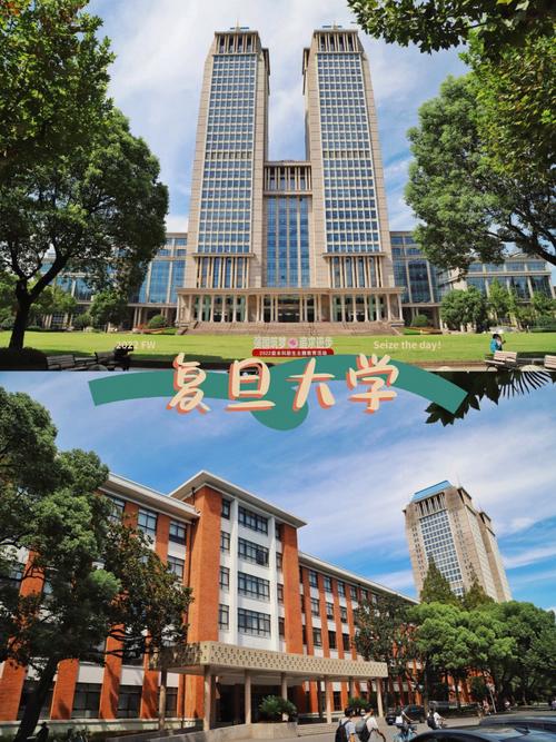 上海复旦大学是哪个区