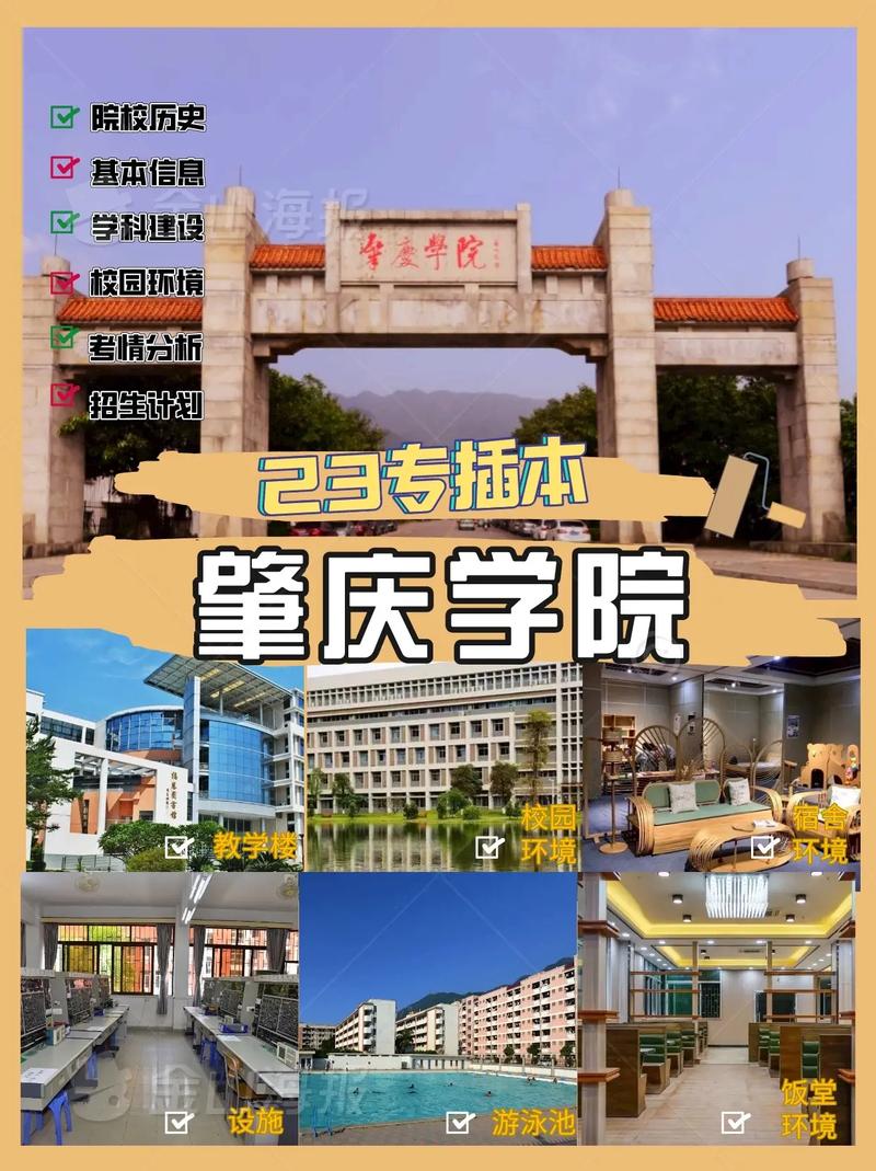 肇庆有哪些公办大学分校