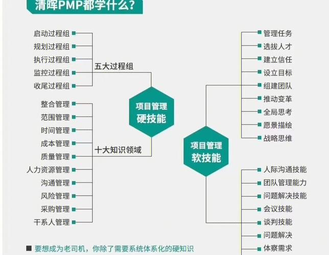 你学到哪个项目