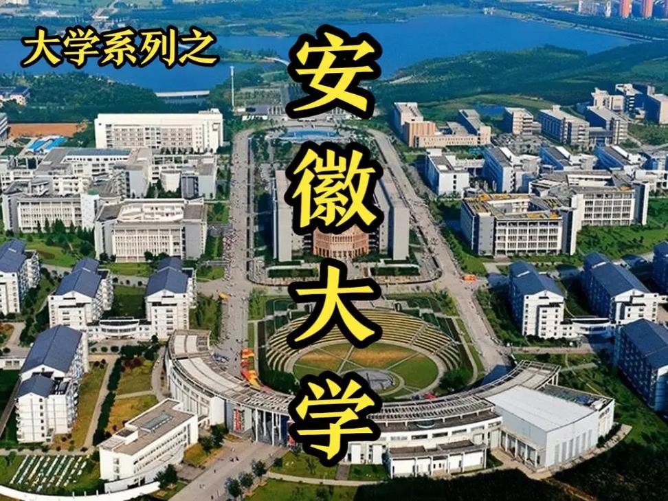 安徽大学在哪个城市哪个区