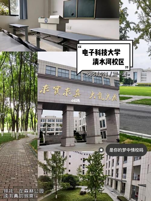 电子科技大学校址在哪里