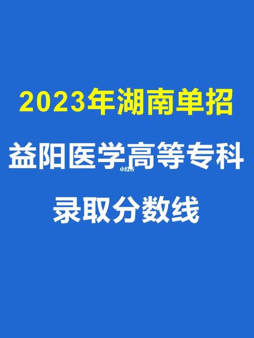 益阳医专学校有哪些大专