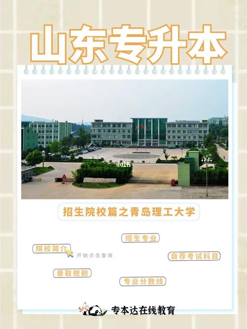 青岛哪个学校本科快