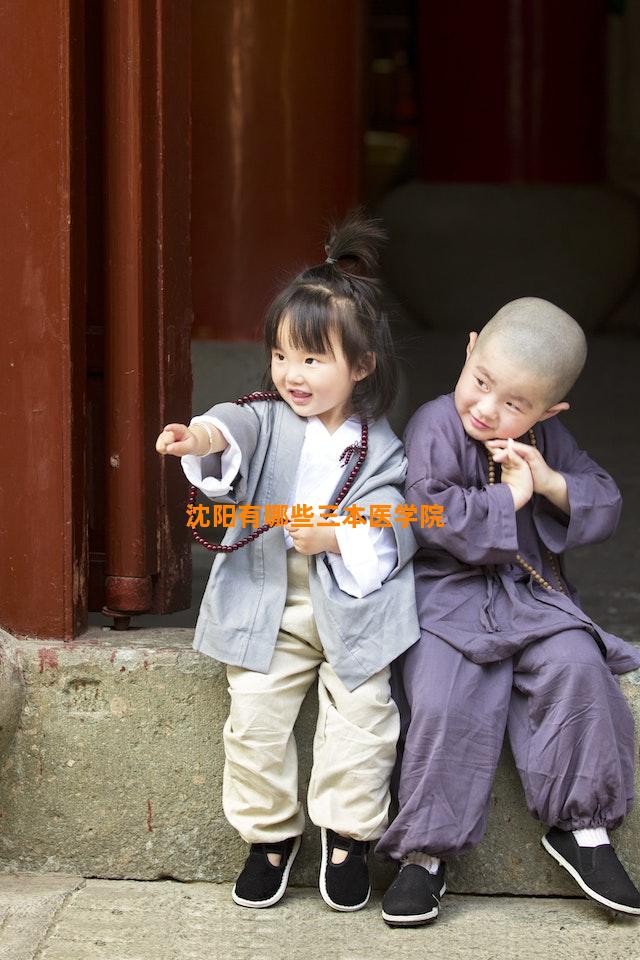 沈阳有哪些三本医学院