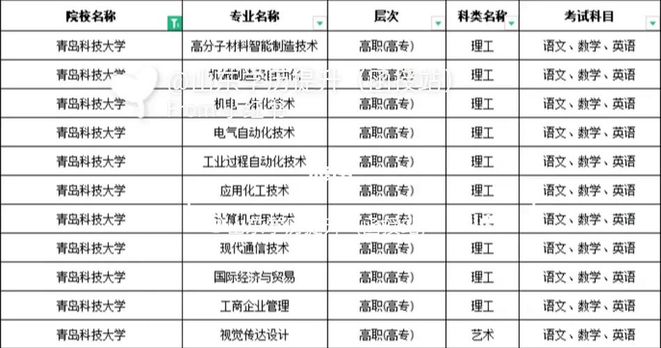 青岛科技大学专科生在哪里