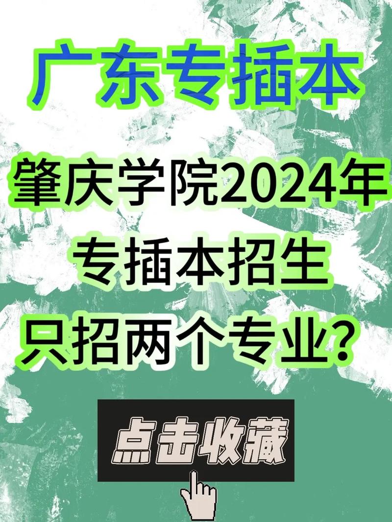 肇庆端州大专有哪些专业