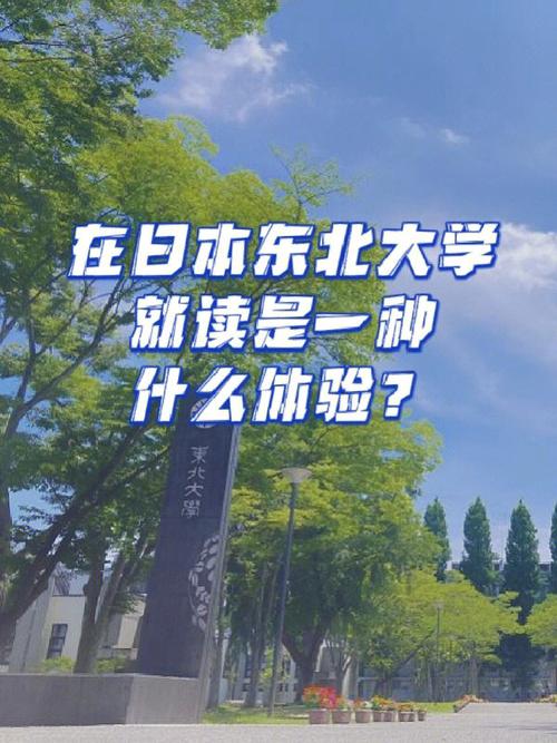 东北大学教务处在哪里