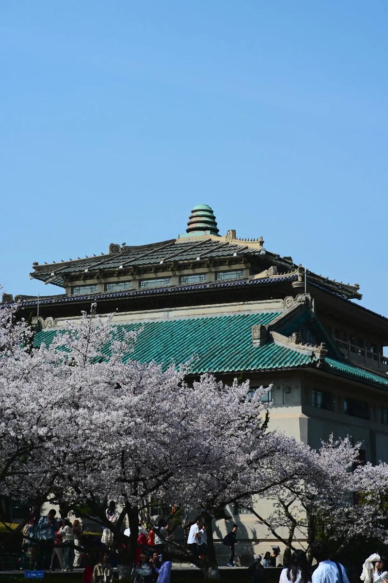 武汉街道口有哪些大学