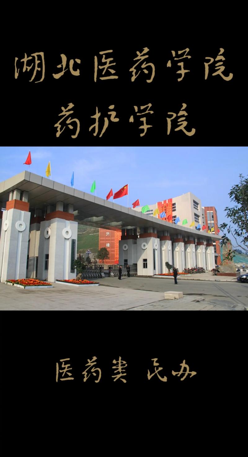 药护学院校园怎么样