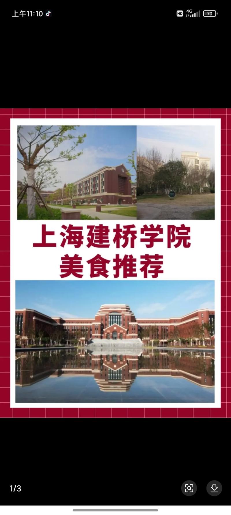 上海建桥学院的专业有哪些