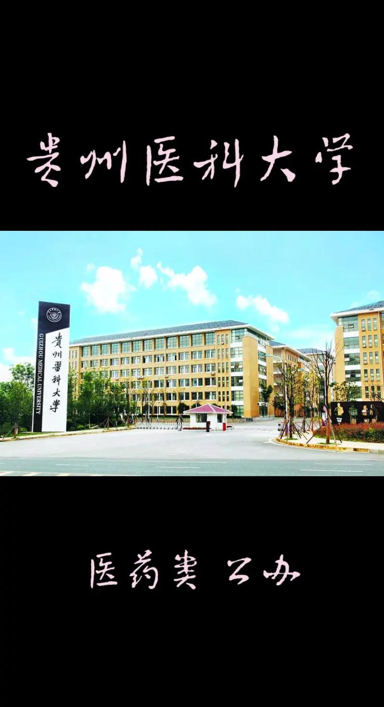 贵医哪个大学